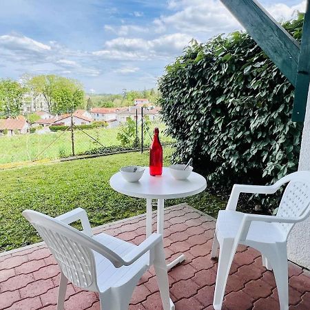 Studio Eglantine A Cambo-Les-Bains, Proche Thermes, Terrasse, Parking, Acces Internet, Animaux Ok - Fr-1-495-106 外观 照片